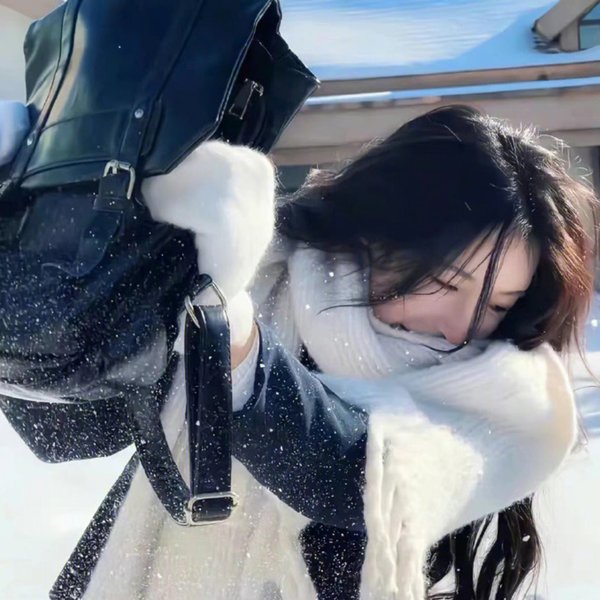 柿子坞的女人们